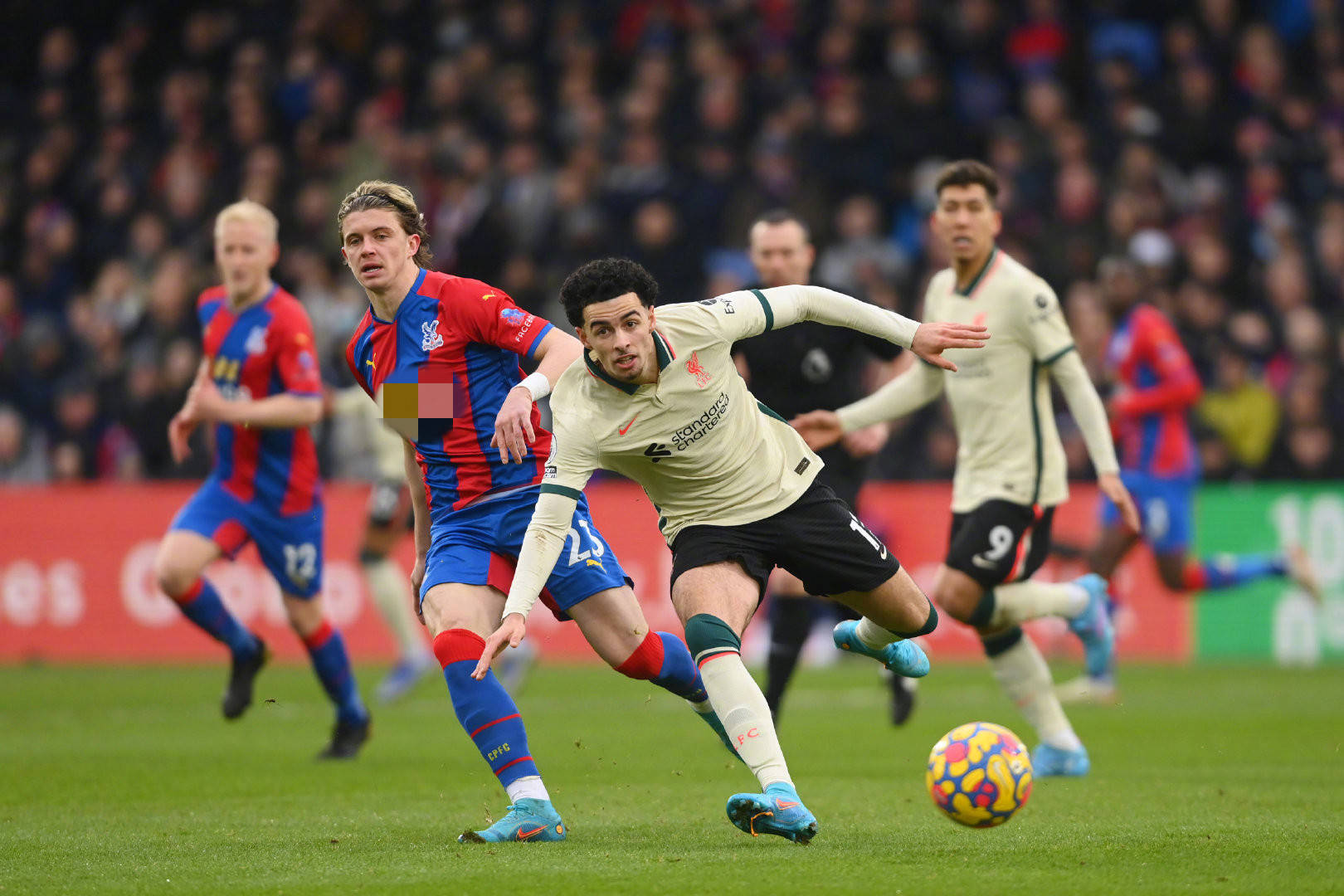 的人指出了 的人指出了